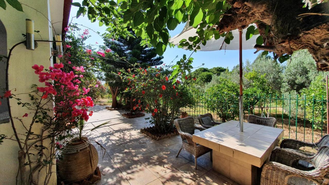 Villa Dunes 350M From The Sandy Beach カログリア エクステリア 写真