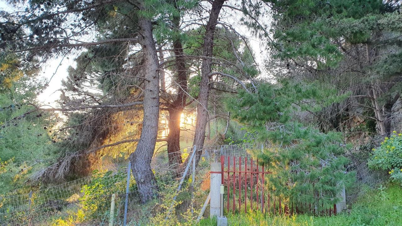 Villa Dunes 350M From The Sandy Beach カログリア エクステリア 写真
